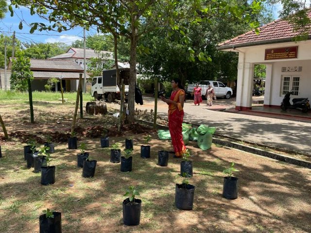 Home Gardening at Vavuniya District Secretariat-25.08.2022